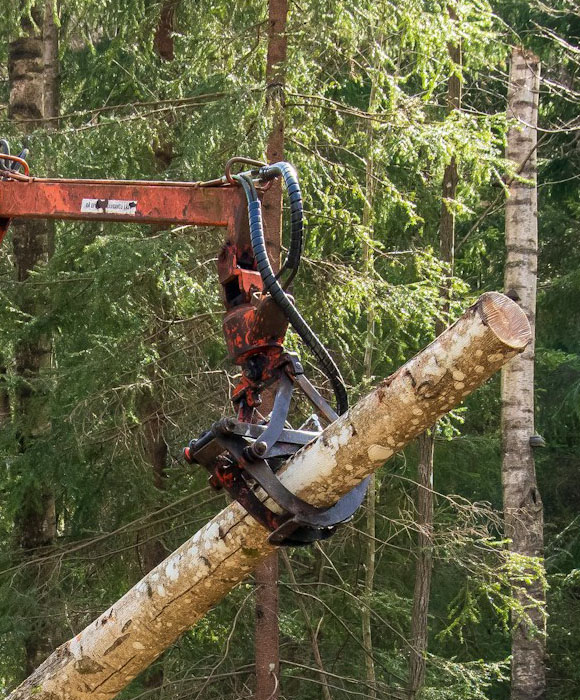 Forestry